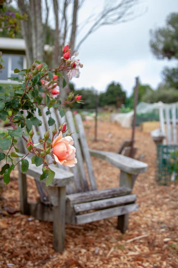 Kereru Cottage Mauku Zewnętrze zdjęcie