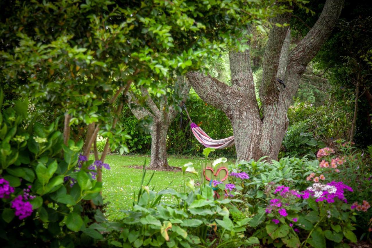 Kereru Cottage Mauku Zewnętrze zdjęcie